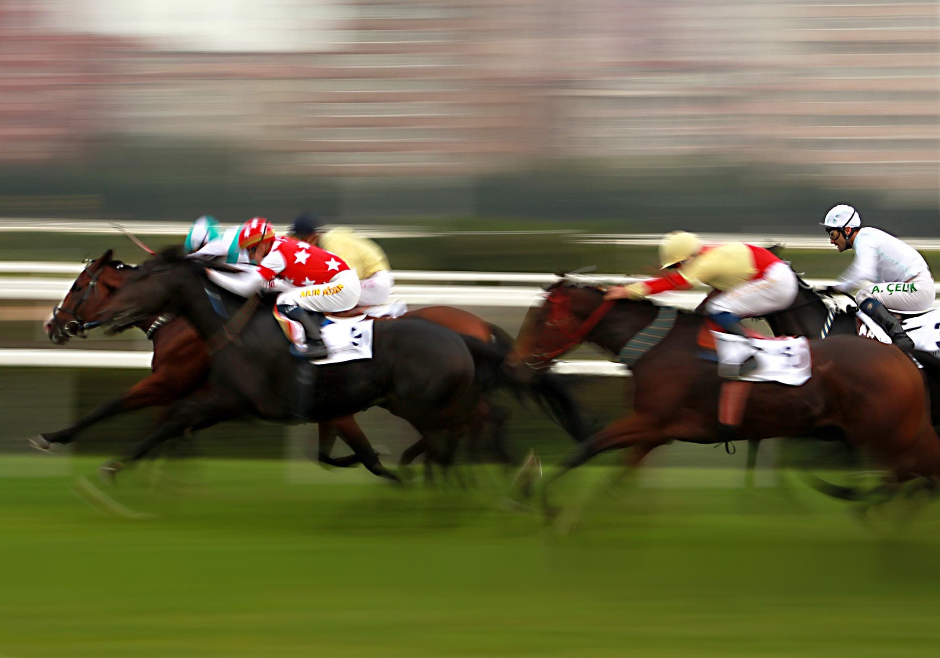 How to Bet on a Live Horse Race image
